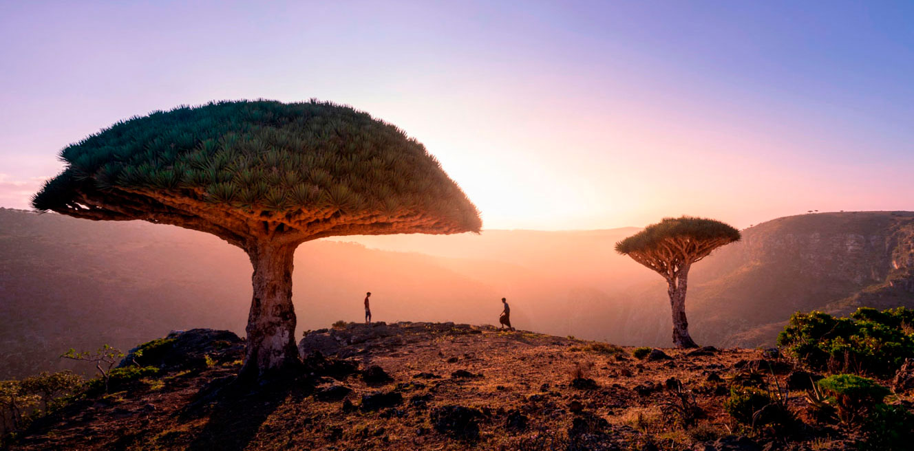 Тур на Сокотру