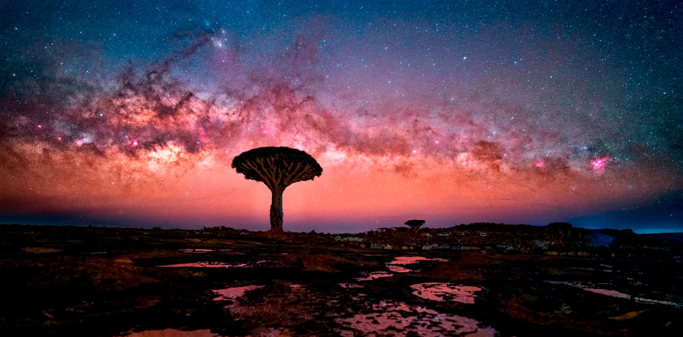 Тур на Сокотру