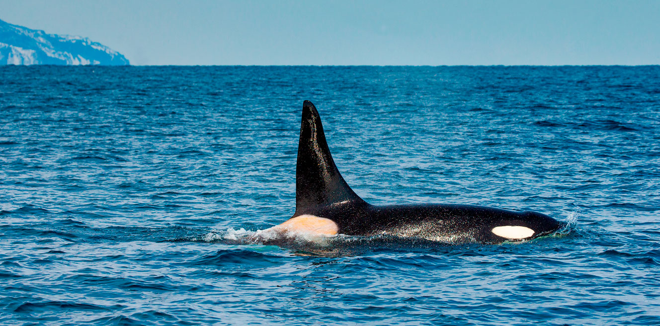 Поход по острову Кунашир
