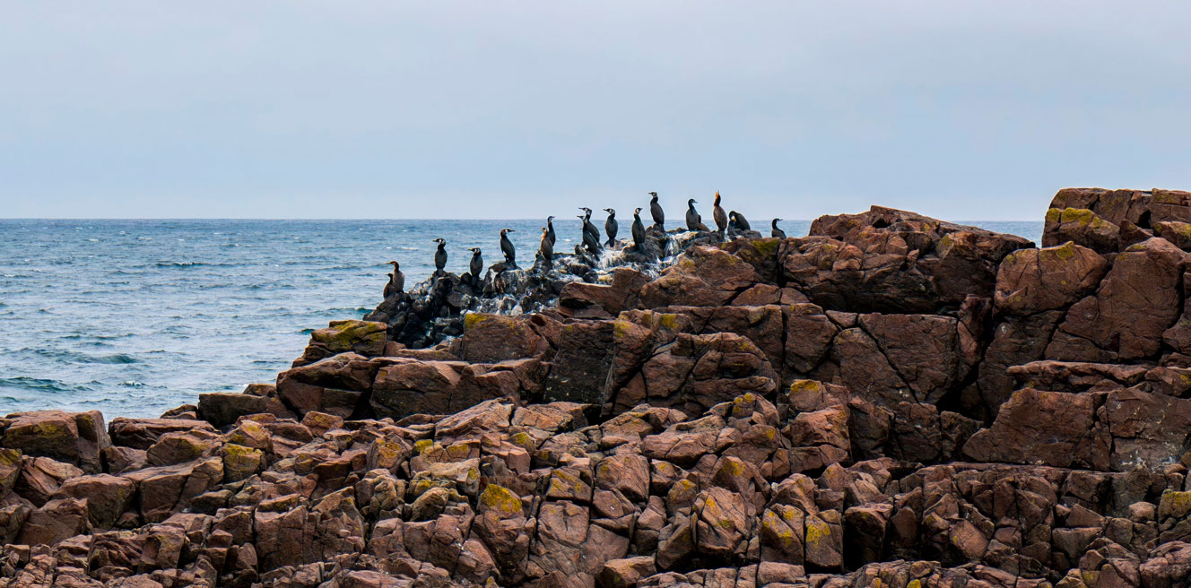Путешествие на остров Итуруп