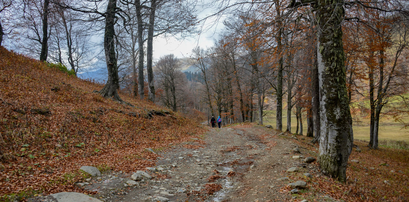 Новогодний тур в Абхазию