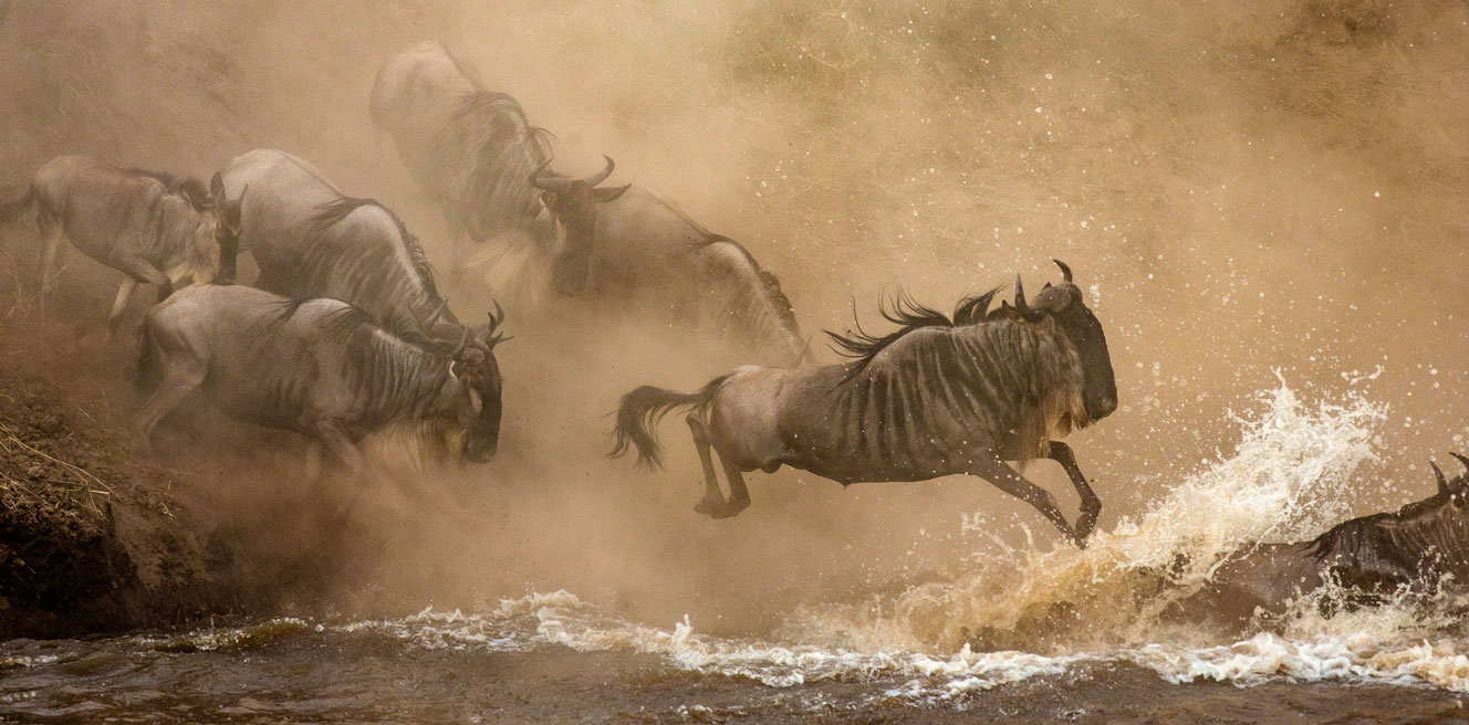 Великая миграция Кения