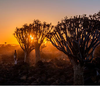 Автопутешествие по Намибии