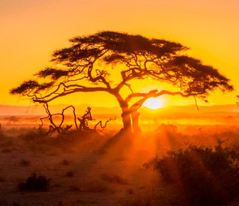 Восхождение на гору Кения 