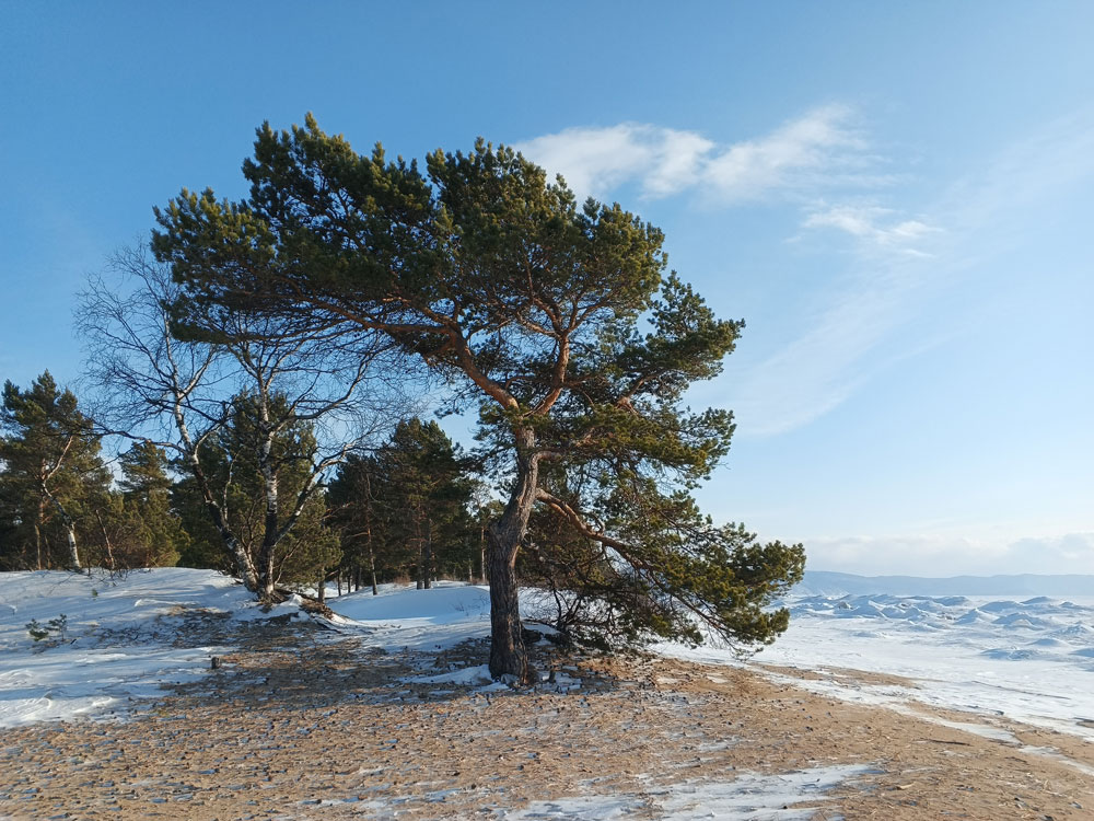 Поход вокруг полуострова Святой Нос
