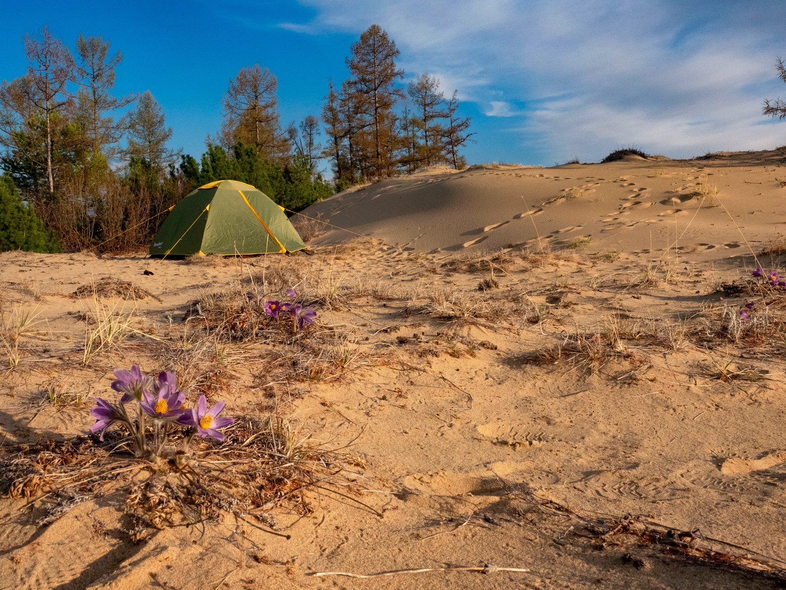 Чарские пески