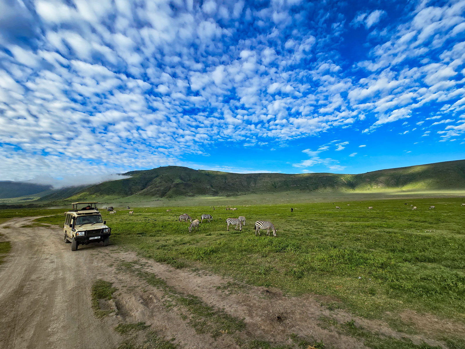 Национальный парк Нгоронгоро Танзания