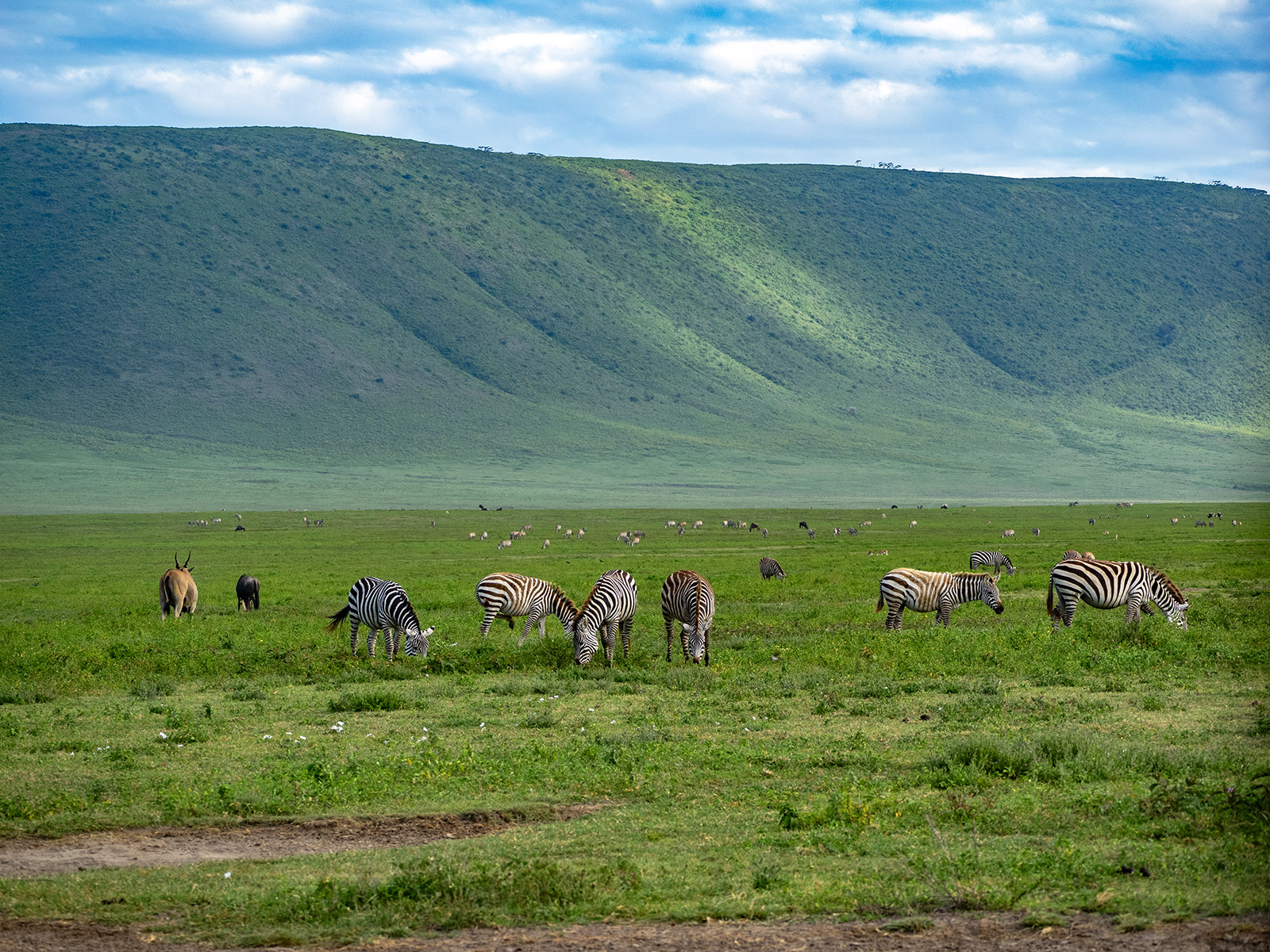 Национальный парк Нгоронгоро Танзания