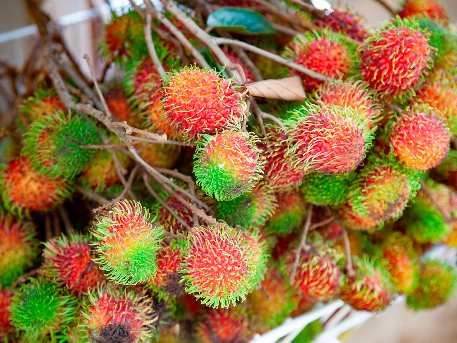 Тропические плоды Танзания