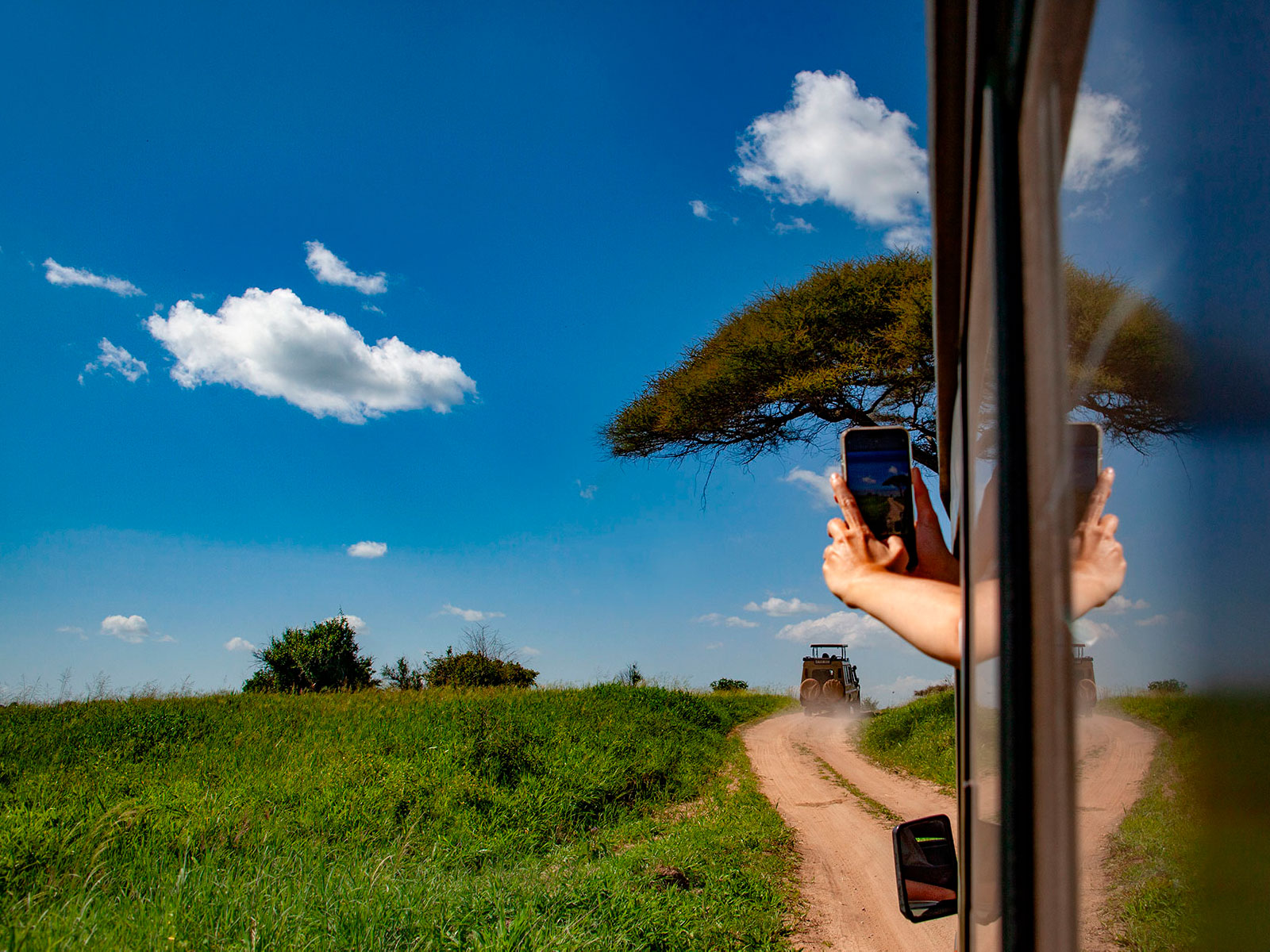 Сафари Танзания