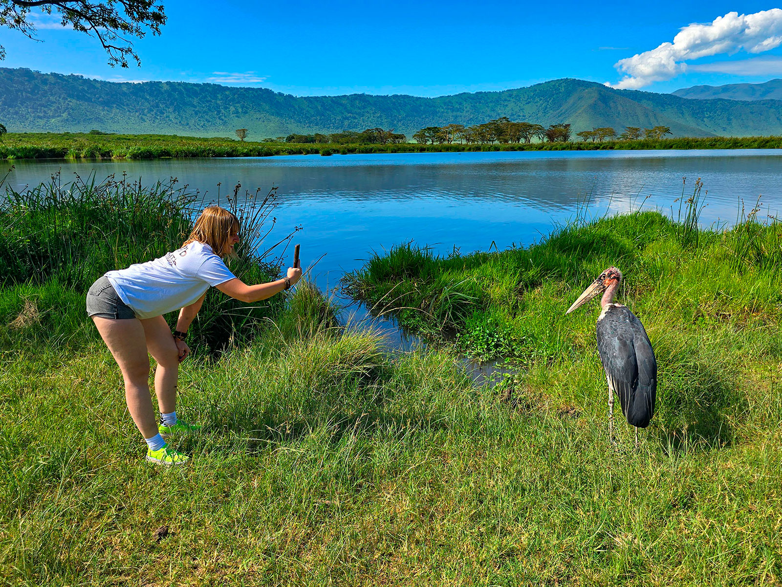 Марабу Танзания