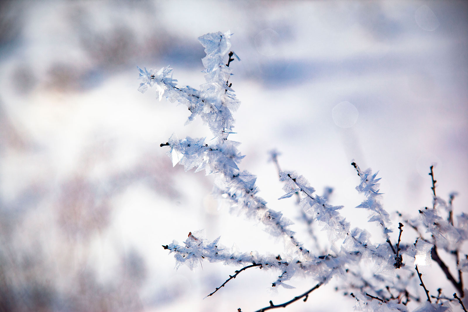 Ледяные узоры Башкирия