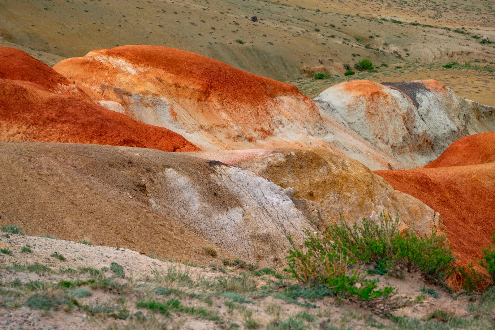 Алтайский марс, Алтай