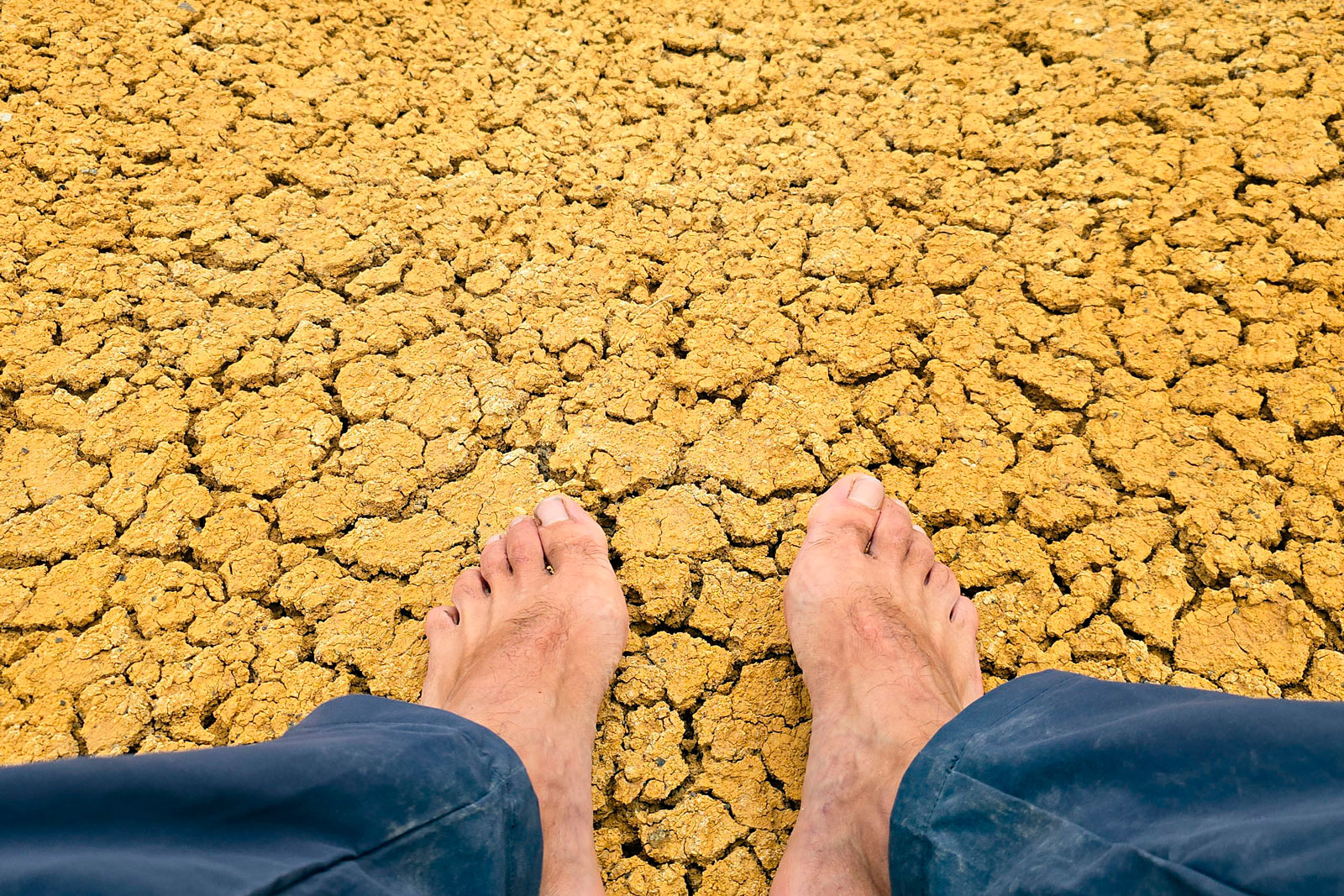 Алтайский марс, Алтай