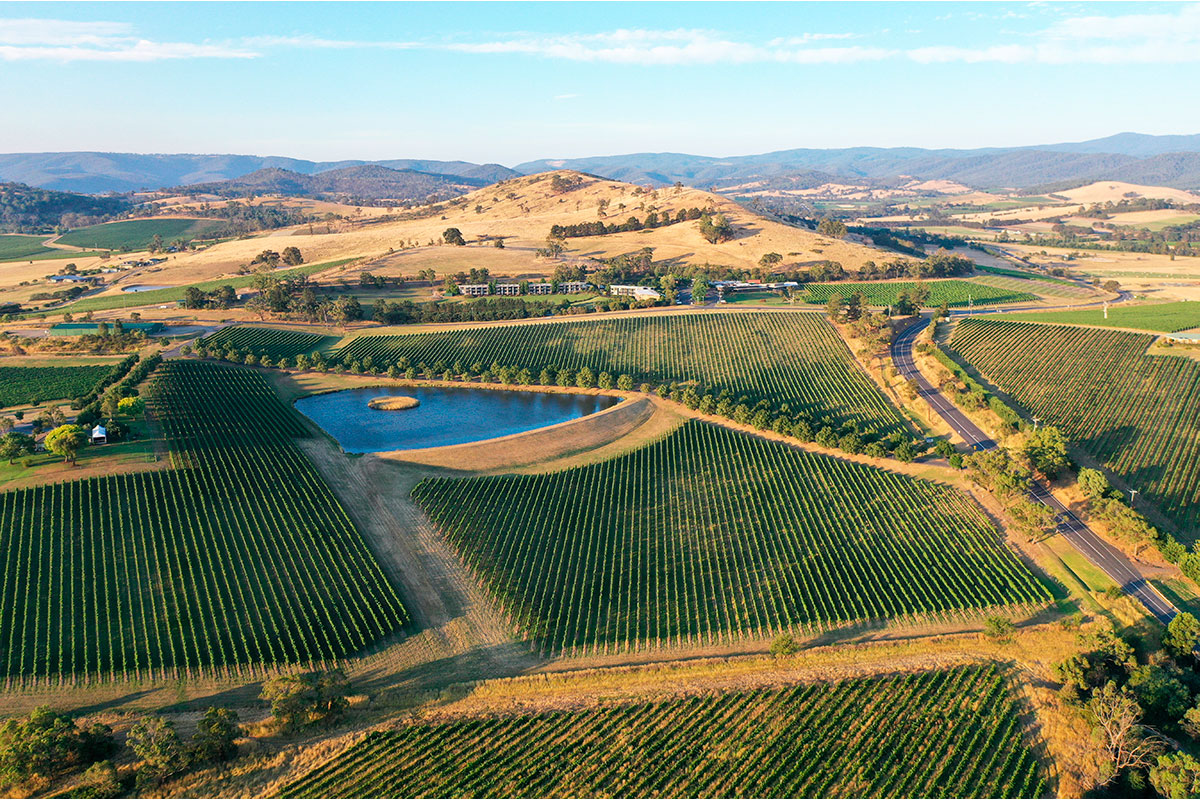 Виноградники в районе города Мельурна Австралия