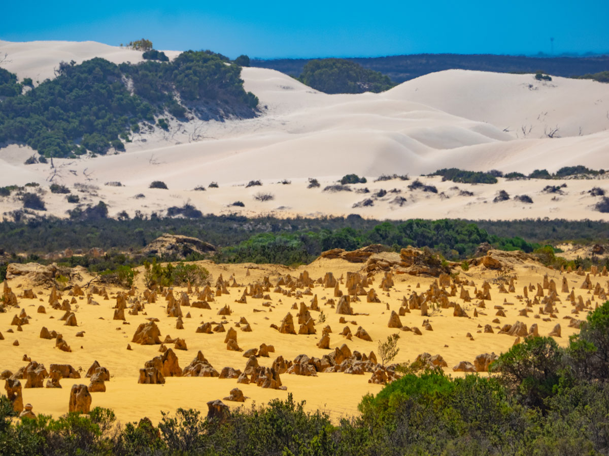 Пустыня Pinnacles Desert Австралия
