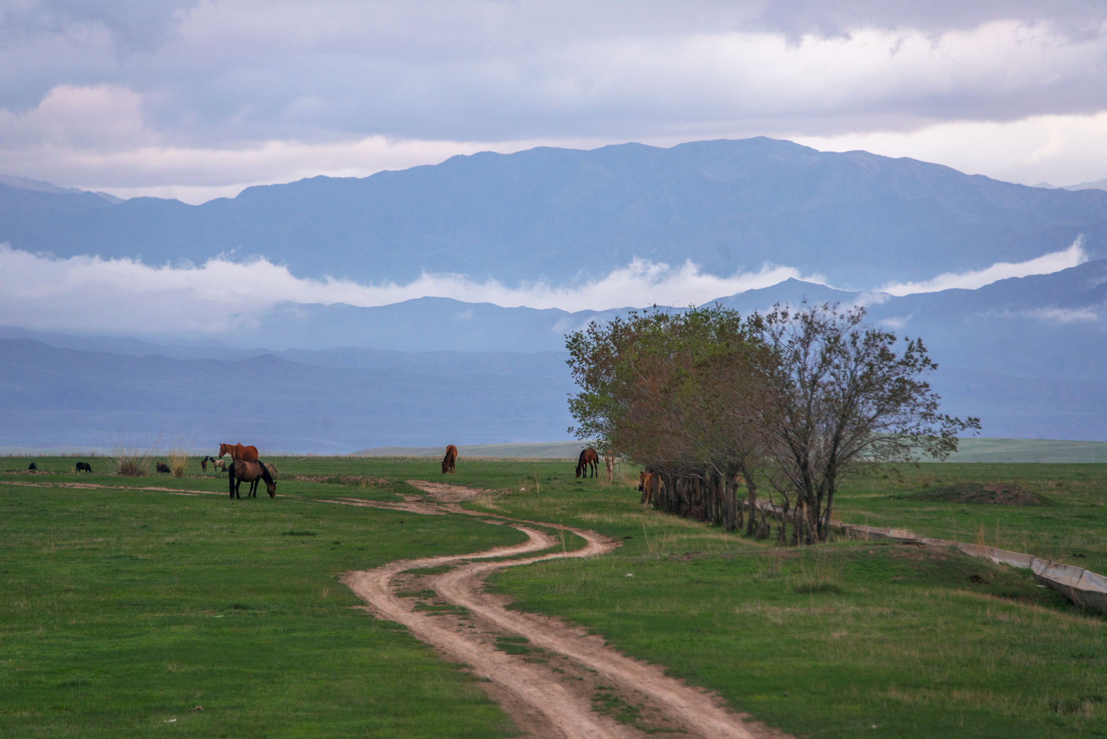 Дорога в степи, Казахстан