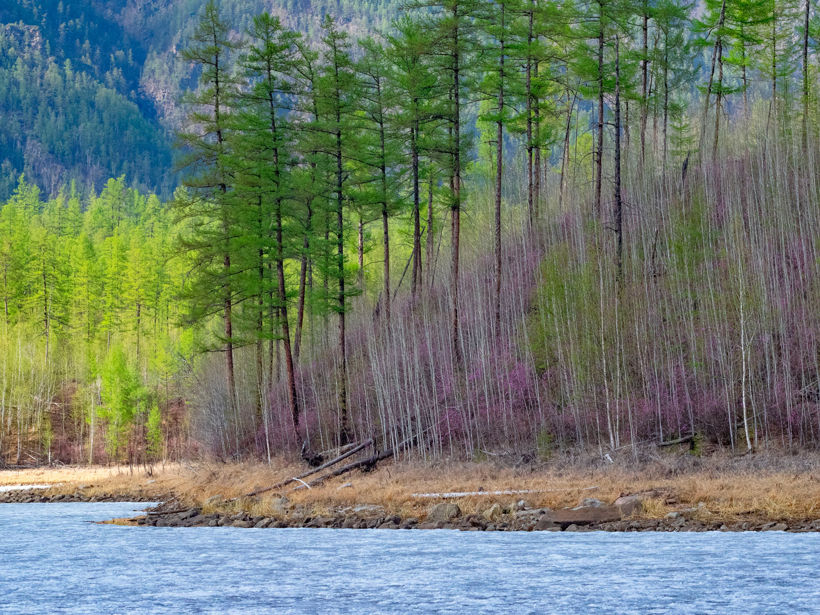 Озеро, Чара